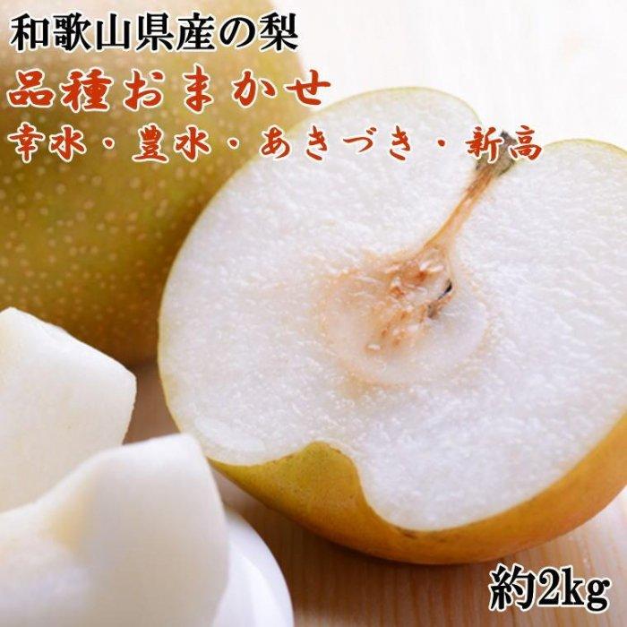 【ふるさと納税】和歌山県産の梨約2kg(品種おまかせ)★2025年8月下旬頃より順次発送【TM181】