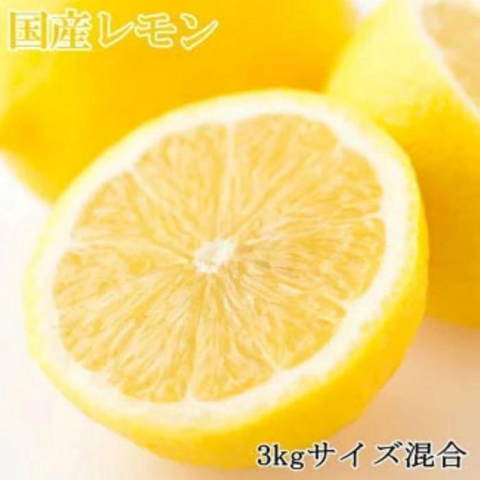 【ふるさと納税】【産直】和歌山産レモン約3kg(サイズ混合)★2025年3月中旬頃より順次発送【TM150】 | フルーツ 果物 くだもの 食品 人気 おすすめ 送料無料