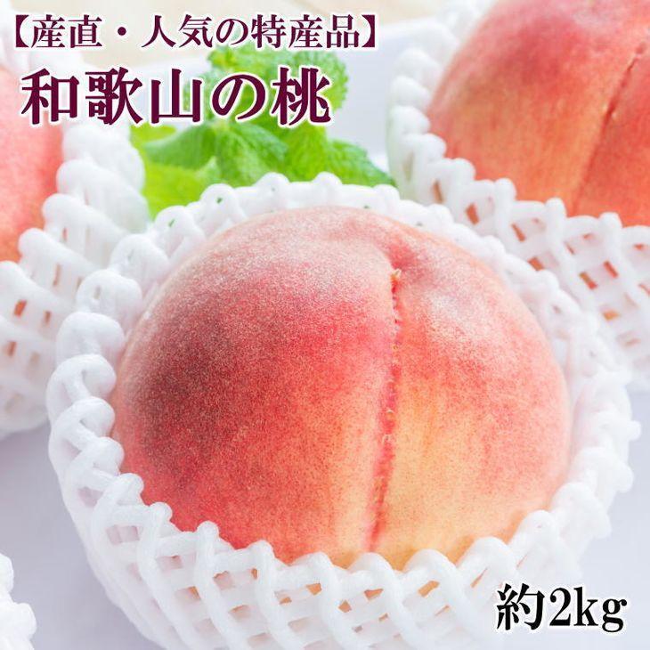 【ふるさと納税】【産直・人気の特産品】和歌山の桃　約2kg・