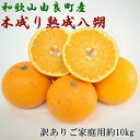 ・ふるさと納税よくある質問はこちら ・寄付申込みのキャンセル、返礼品の変更・返品はできません。あらかじめご了承ください。 ・ご要望を備考に記載頂いてもこちらでは対応いたしかねますので、何卒ご了承くださいませ。 ・寄付回数の制限は設けておりません。寄付をいただく度にお届けいたします。 商品概要 温暖な気候と恵まれた地形を利用して、通常年末までに収穫する八朔を、3月上旬頃まで樹に実らせます。 八朔は、冬のマイナス4℃が2時間続くと、にがみが増してしまいますが、由良の無霜地帯ゆえに可能な栽培方法です。 これにより、甘味とほどよい酸味のある、独特のにがみは控えめで、非常に食べやすい八朔となります。 また、独特のプリプリ、さくさく感と風味が爽やかで後味もさっぱりしています。 サラダやヨーグルト、ハチミツと合わせて食べてもオススメです! 上品な甘さと大人の味覚を兼ね備えた農家さん自慢の木成り熟成八朔を是非とも、ご賞味下さい。 海風などによる大小の傷や黒点などがついたご家庭で召し上がって頂く訳あり品となりますが、 外皮を剥いてしまえば、中身やお味は秀品と何もかわりませんので、外観を気にされない方にはおすすめです。 ※画像はイメージです。 ※生ものですので、お早めにお召し上がり下さい。 ※その年の自然環境により、出荷時期に前後のある可能性がございます。 ※サイズ混合でのお届けとなります。箱入れ規格は、S～4Lサイズが対象となります。 ※海風などによる大小の傷や黒点などがついたご家庭で召し上がって頂く訳あり品となりますが、外皮を剥いてしまえば、お味や中身は秀品と何もかわりません。 ※こちらは和歌山県由良町との共通返礼品になります。 平成31年総務省告示第179号第5条第8号イ「市区町村が近隣の他の市区町村と共同で前各号いずれかに該当するものを共通の返礼品等とするもの」に該当する返礼品として、和歌山県内で合意した市町村間で出品しているものです。 【生産地】 和歌山県由良町 【お問合せ先】 お礼の品・配送に関するお問い合わせは、 （高野町厳選館　TEL：073-494-3366）までお願い致します。 関連キーワード：フルーツ 果物 くだもの 食品 人気 おすすめ 送料無料 内容量・サイズ等 1箱約10kg（サイズ混合・訳ありご家庭用） 【原材料名】 八朔 賞味期限 発送より10日【常温】※生もの(農産物)ですので、なるべく涼しく風通しの良い場所で保管し、できるだけお早めにお召し上がりください。 配送方法 常温 発送期日 2025年3月15日～4月25日ごろ順次発送※生育状況によりお届け時期が多少前後する場合がございます。 アレルギー 特定原材料等28品目は使用していません ※ 表示内容に関しては各事業者の指定に基づき掲載しており、一切の内容を保証するものではございません。 ※ ご不明の点がございましたら事業者まで直接お問い合わせ下さい。 名称 木成り熟成八朔 産地名 和歌山県由良町産 保存方法 常温 事業者情報 事業者名 高野町厳選館 連絡先 073-494-3366 営業時間 9：00～17：00 定休日 土曜・日曜・祝祭日・お盆・年末年始など「ふるさと納税」寄付金は、下記の事業を推進する資金として活用してまいります。 （1）町長にお任せ(その他指定なしの事業) （2）町の活性化を応援する事業 （3）安心・安全で健やかなまちづくりを応援する事業 （4）歴史・文化を継承し、自然・環境を保全する事業 （5）私立学校（高野山学園）への支援