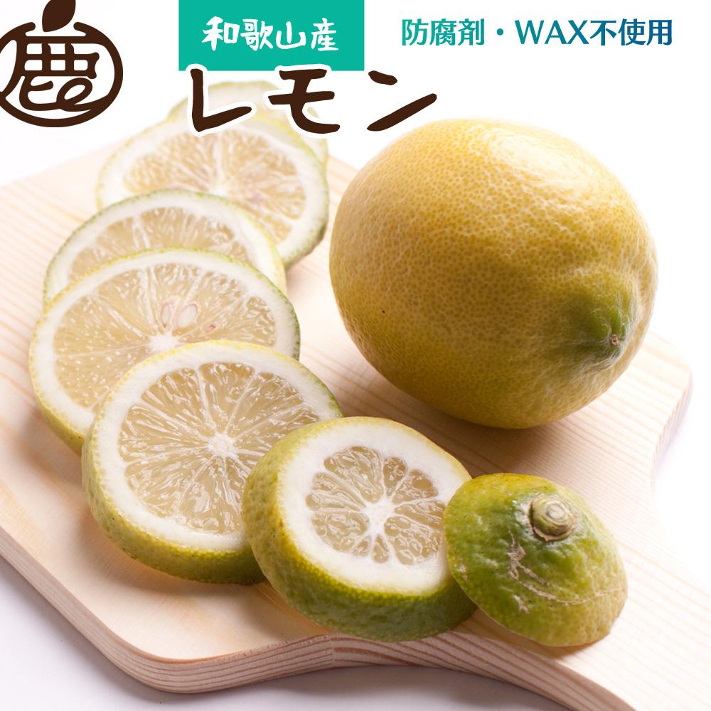 【ふるさと納税】<9月より発送>厳選 黒潮レモン3.5kg+105g(傷み補償分)【和歌山有田産】【防腐剤・WAX不使用、安心の国産レモン】 | 和歌山 果物 くだもの フルーツ 旬の果物 果実 柑橘 柑橘類 かんきつ おいしい 美味しい お取り寄せ