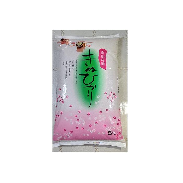 【ふるさと納税】きぬひかり 精米 5kg×2袋【令和5年産】（発送日前日精米） | お米 こめ 白米 食品 人気 おすすめ 送料無料