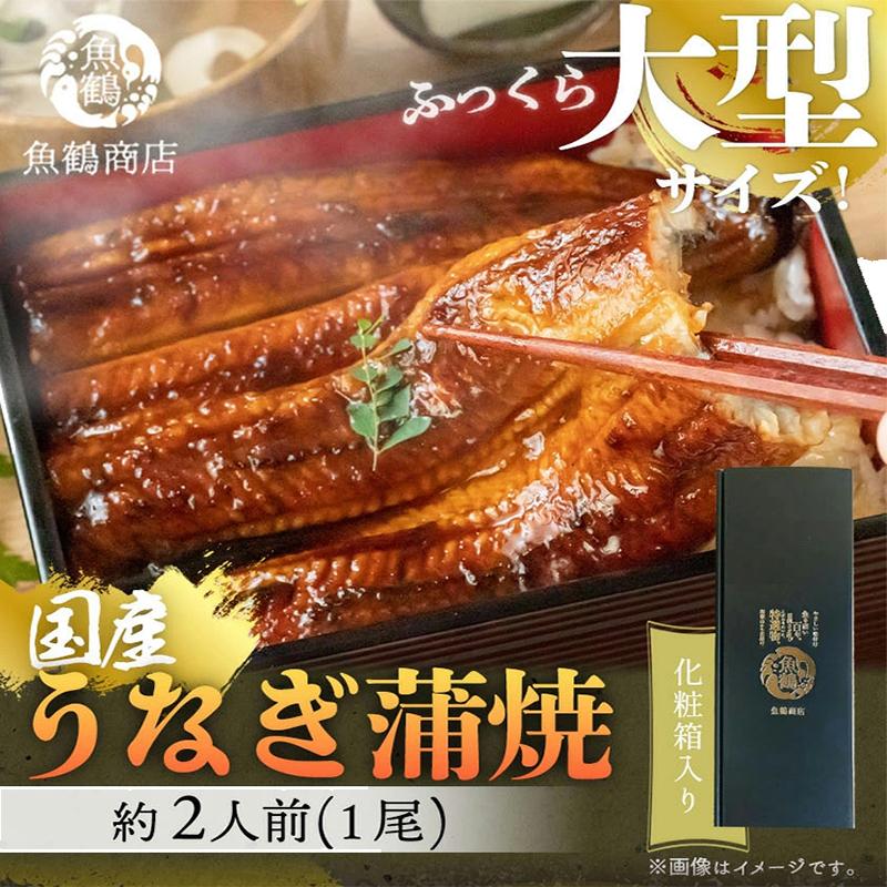 大型サイズ 　ふっくら柔らか国産うなぎ蒲焼き　1尾（約2人前）化粧箱入 | 鰻 魚介類 水産 食品 人気 おすすめ 送料無料　国産　大型　うなぎ　蒲焼