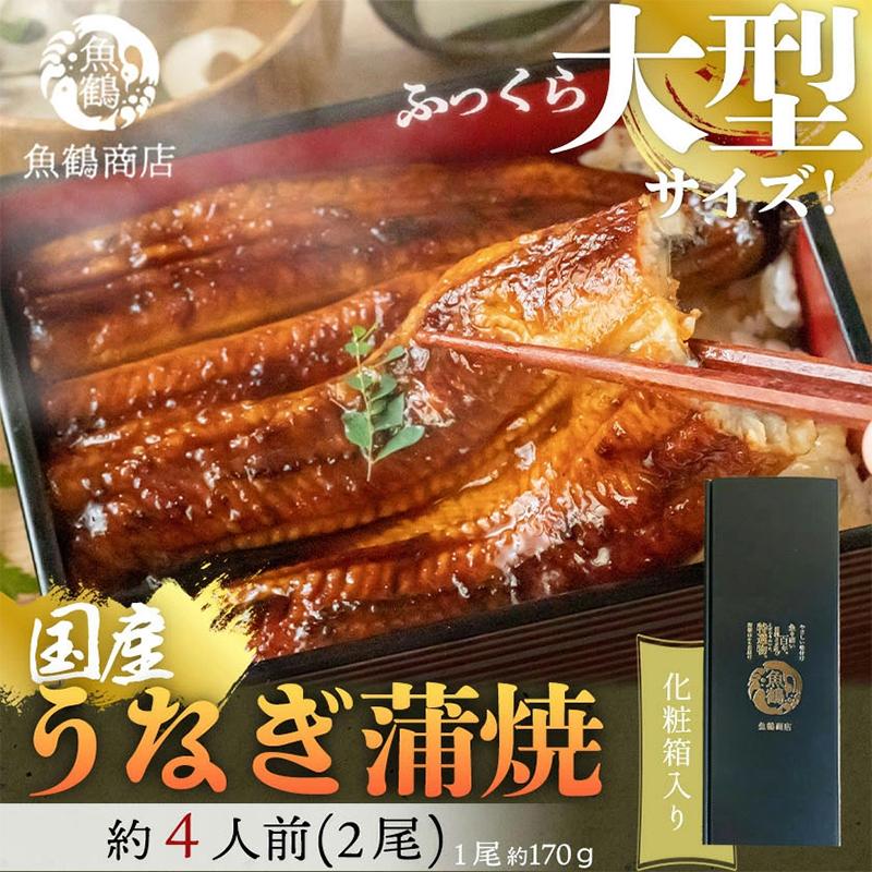 大型サイズ ふっくら柔らか国産うなぎ蒲焼き 2尾 | 鰻 魚介類 水産 食品 人気 おすすめ 送料無料 国産 大型 うなぎ 蒲焼