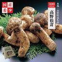 香り・歯応え・味ともに最高級！希少な国産松茸「高野松茸」300g | 天然 高級 化粧箱 お取り寄せ 数量限定 期間限定 和歌山県 高野町 和歌山 楽天ふるさと 納税 返礼品 国産松茸 マツタケ きのこ キノコ おいしい 生松茸 茸 秋の味覚 高野山