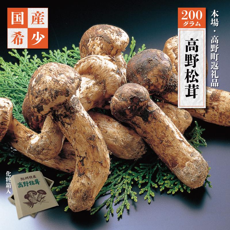 香り・歯応え・味ともに最高級!希少な国産松茸「高野松茸」200g[化粧箱入] | 天然 高級 化粧箱 お取り寄せ 数量限定 期間限定 和歌山県 高野町 和歌山 楽天ふるさと 納税 返礼品 国産松茸 マツタケ きのこ キノコ おいしい 生松茸 茸 秋の味覚 高野山