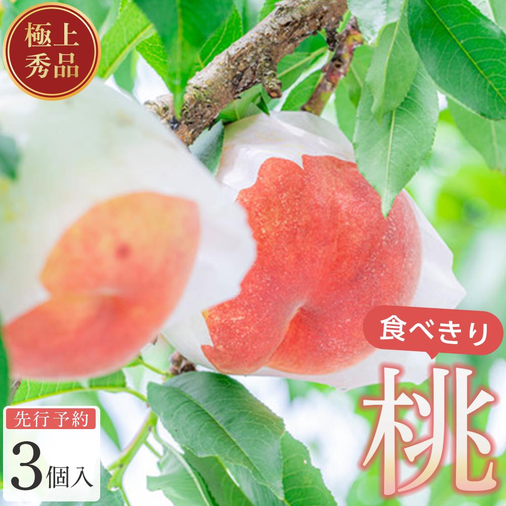 【ふるさと納税】桃 極上秀品 食べきりやすい3個入 【先行予約】【2025年6月末から7月末順次発送】こだわり農家厳選!【KG1】 | もも フルーツ 果物 くだもの 食品 人気 おすすめ 送料無料