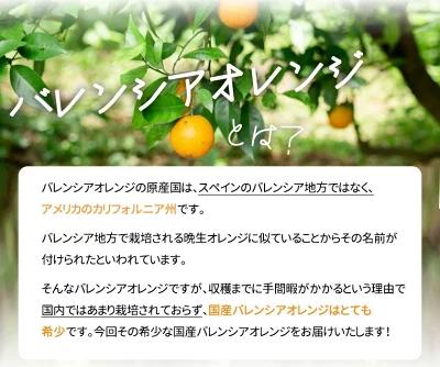 【ふるさと納税】秀品 希少な国産バレンシアオレンジ 2.5kg【2025年6月下旬頃～2025年7月上旬頃に順次発送】【UT75】 | フルーツ 果物 くだもの 食品 人気 おすすめ 送料無料