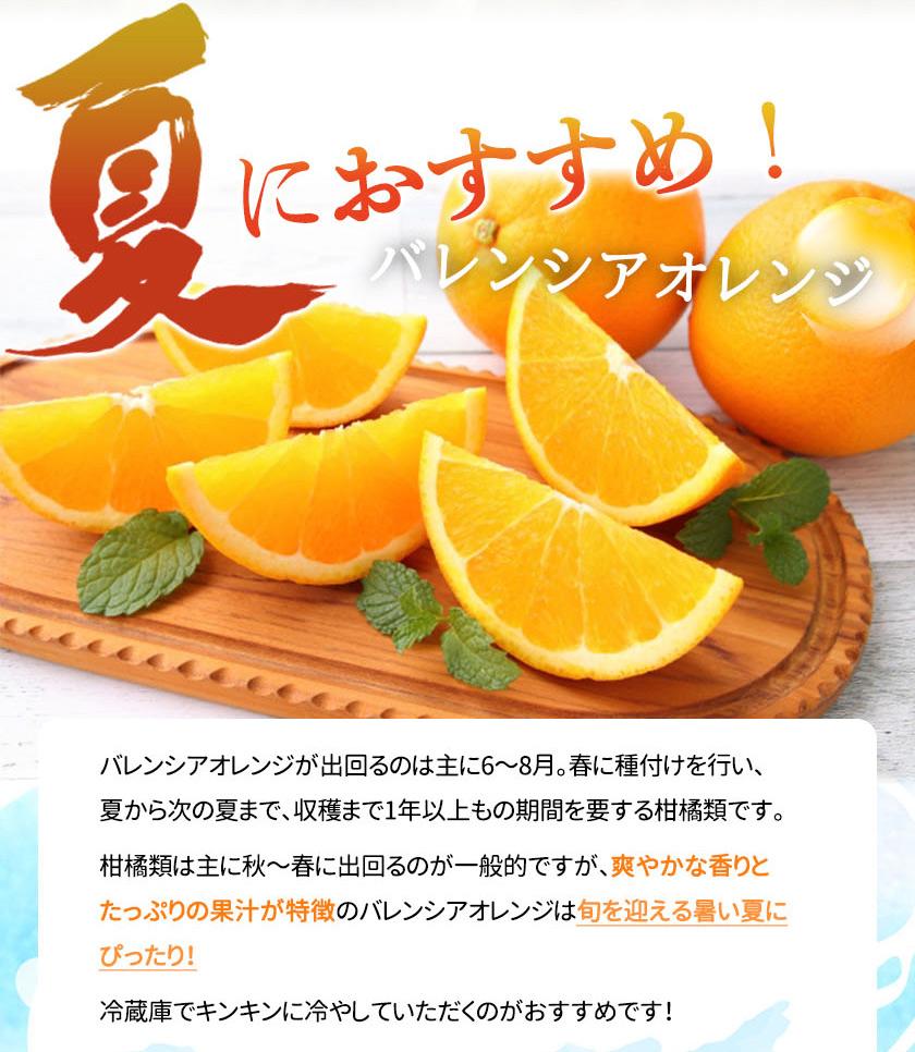 【ふるさと納税】秀品 希少な国産バレンシアオレンジ 2.5kg【2025年6月下旬頃～2025年7月上旬頃に順次発送】【UT75】 | フルーツ 果物 くだもの 食品 人気 おすすめ 送料無料