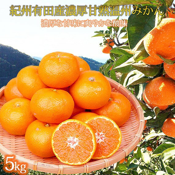 【ふるさと納税】紀州有田産濃厚甘熟温州みかん5kg【2025年11月下旬以降発送】【先行予約】【UT09】