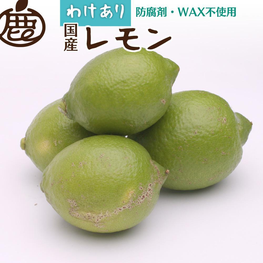【ふるさと納税】<9月より発送>家庭用 黒潮レモン5kg+150g(傷み補償分)【和歌山有田産】【防腐剤・WAX不使用、安心の国産レモン】【わけあり・訳ありレモン】 | フルーツ 果物 くだもの 食品 人気 おすすめ 送料無料