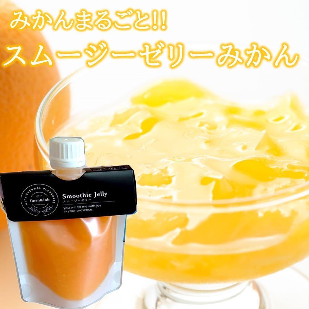【ふるさと納税】みかんを内皮まるごと!「スムージーゼリーみかん」150g×16 | 和歌山 蜜柑 柑橘 果物 くだもの フルーツ スムージー 飲料 ギフト みかん オレンジスムージー 取り寄せ 産地直送 和歌山県 高野町