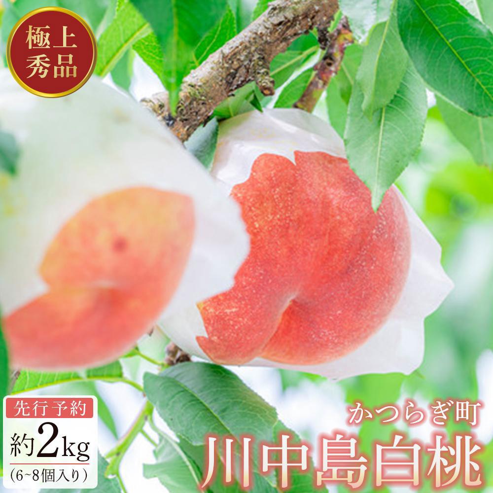 【ふるさと納税】先行予約!【モモ】川中島白桃 約2kg 6~8個入【2025年7月末頃から順次発送】【秀品】こだわり農家厳選 【KG13】 | もも フルーツ 果物 くだもの 食品 人気 おすすめ 送料無料