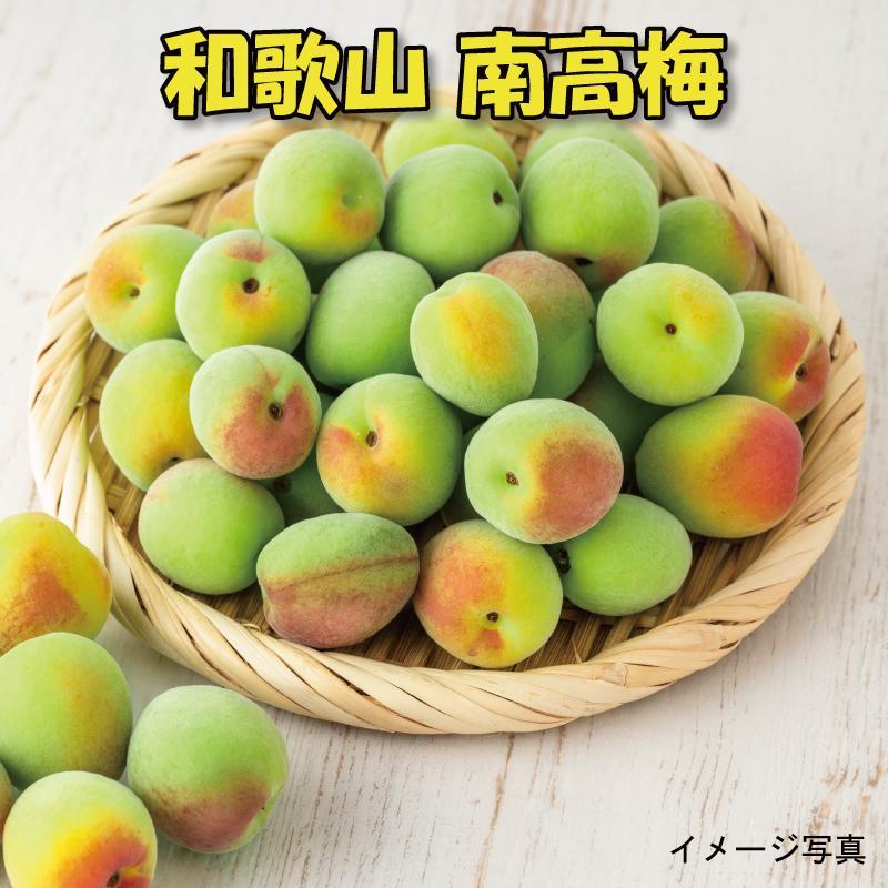 【ふるさと納税】【梅干・梅酒用】(LまたはM-10Kg)熟南高梅<2025年6月上旬~7月7日発送予定>フルーツ 果物 くだもの 食品 人気 おすすめ 送料無料【ART08】