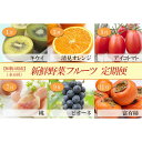 【ふるさと納税】和歌山の旬の果実を 奇数月にお届け全6回定期便(キウイ・清見オレンジ・ミニトマト・桃・ピオーネ・富有柿)【TM62】 | フルーツ 果物 くだも...