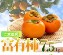 【ふるさと納税】【ご家庭用わけあり】和歌山秋の味覚 富有柿 約7.5kg「2025年11月上旬以降発送予定」【UT47】