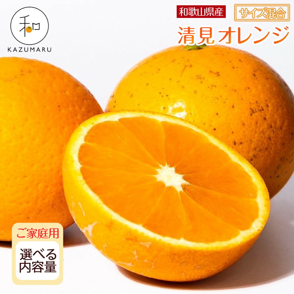 [先行予約]家庭用 森本農園の手選別 清見オレンジ 4.5kg〜10kg 和歌山県産 サイズ混合 [北海道・沖縄・離島配送不可] | みかん 蜜柑 フルーツ 果物 くだもの 食品 人気 おすすめ 送料無料