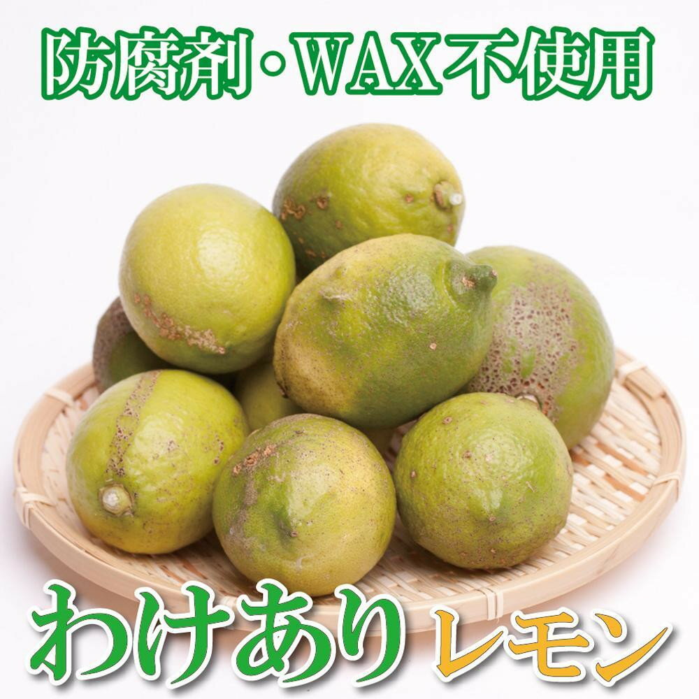【ふるさと納税】家庭用 レモン2.5kg+250g(傷み補償分)【和歌山有田産】【防腐剤・WAX不使用、安心の国産レモン】【わけあり・訳ありレモン】 [IKE1...