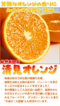 【ふるさと納税】とにかくジューシー清見オレンジ 5kg 2021年3月下旬頃〜4月下旬頃発送予定