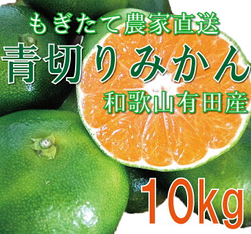 【ふるさと納税】爽やかな味わい青切りみかん10kg 【9月中旬より発送】 初秋の味覚《有機質肥料100％》※離島不可（北海道、沖縄本島も不可）※着日指定不可