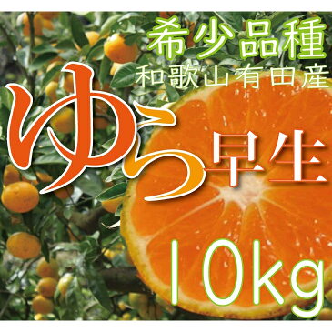 【ふるさと納税】濃厚な味わいゆら早生みかん10kg 【10月上旬より発送】 希少品種《有機質肥料100％》※離島不可（北海道、沖縄本島も不可）※着日指定不可