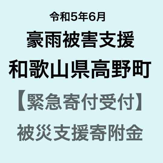 [令和5年6月豪雨災害支援緊急寄附受付]和歌山県高野町災害応援寄附金(返礼品はありません)