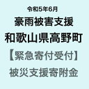 15位! 口コミ数「0件」評価「0」【令和5年6月豪雨災害支援緊急寄附受付】和歌山県高野町災害応援寄附金（返礼品はありません）