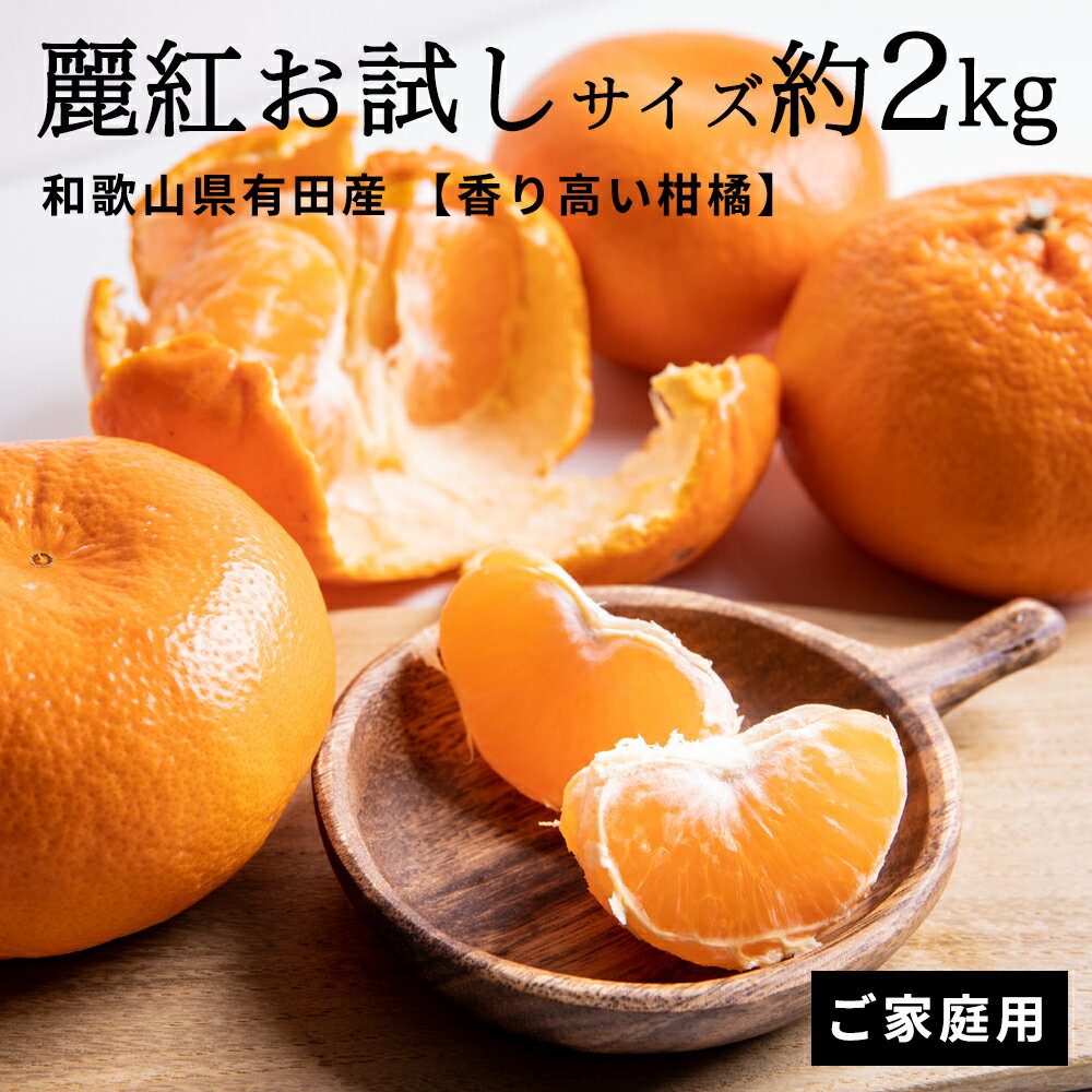【ふるさと納税】【香り高い柑橘】和歌山県有田産 麗紅 お試し