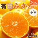 【ふるさと納税】【2024年 先行予約】和歌山県産 有田みか