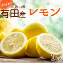 【ふるさと納税】【2024年 先行予約】和歌山県 有田産 国産レモン 1kg 訳あり【レモン 国産レモン 柑橘 和歌山 有田 訳あり】 その1