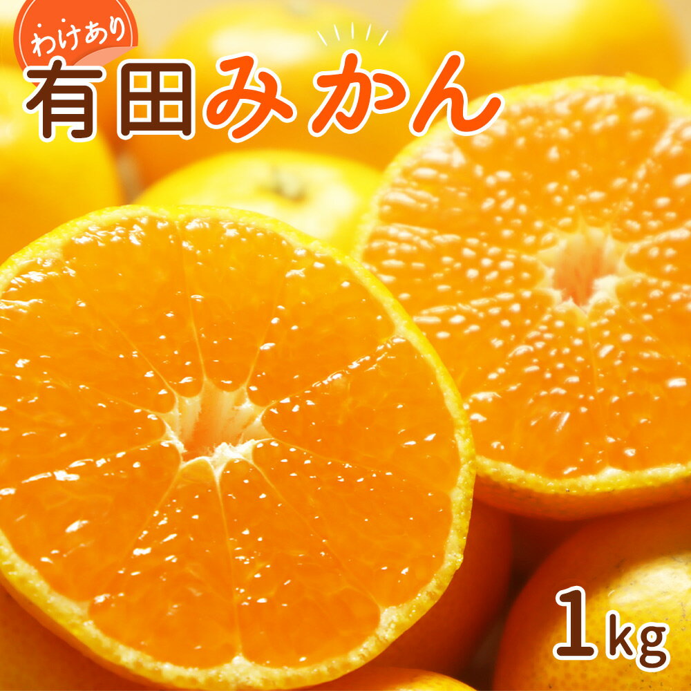 【ふるさと納税】和歌山県産 有田みかん 1kg 訳あり【ミカン 蜜柑 柑橘 温州みかん 和歌山 有田 】