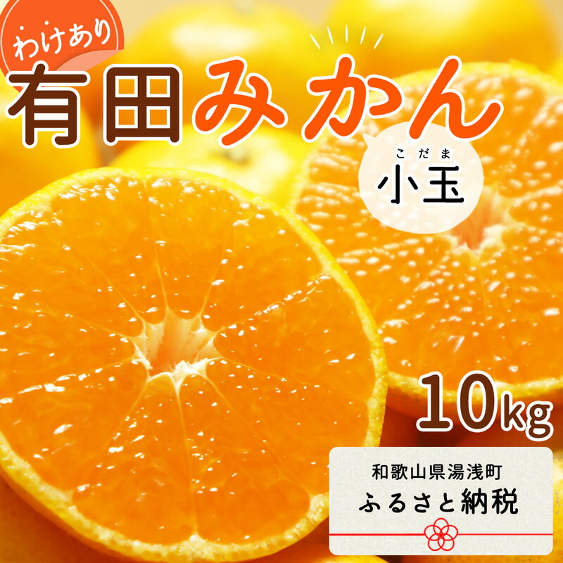 【ふるさと納税】【2024年 先行予約】和歌山県産 有田みかん 小玉 10kg 訳あり【ミカン 蜜柑 柑橘 温州みかん 和歌山 有田 小粒】