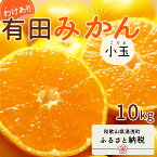 【ふるさと納税】【2024年 先行予約】和歌山県産 有田みかん 小玉 10kg 訳あり【ミカン 蜜柑 柑橘 温州みかん 和歌山 有田 小粒】