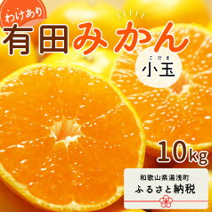 【ふるさと納税】【2024年 先行予約】和歌山県産 有田みかん 小玉 10kg 訳あり【ミカン 蜜柑 柑橘 温州みかん 和歌山 有田 小粒】