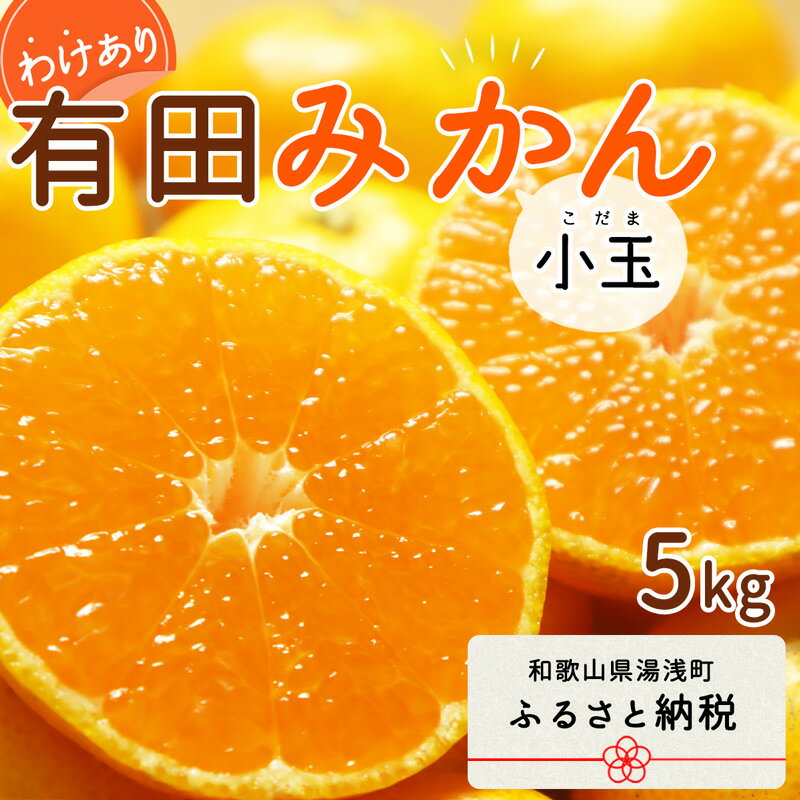 【ふるさと納税】【2024年 先行予約】和歌山県産 有田みかん 小玉 5kg 訳あり【ミカン 蜜柑 柑橘 温州みかん 和歌山 有田 小粒 】