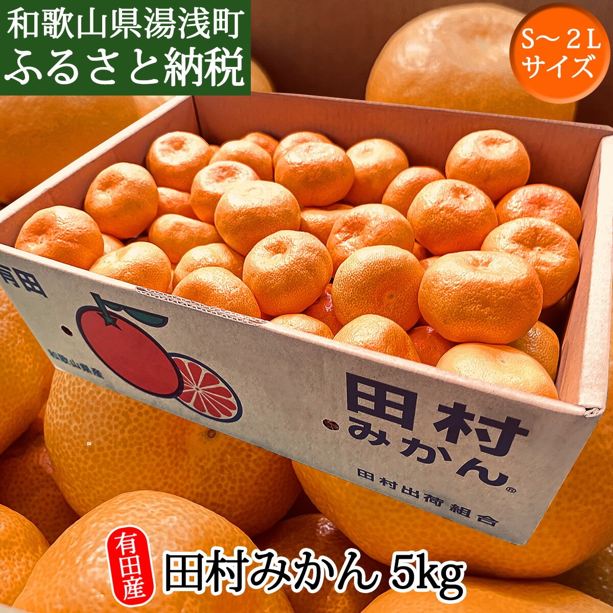 【ふるさと納税】和歌山産 田村みかん 5kg (S〜2Lサイズ)【ミカン 蜜柑 柑橘 温州みかん 有田みかん 和歌山】のサムネイル