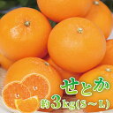 【ふるさと納税】せとか 約3kg (S～Lサイズ) 【紀州グルメ市場】【ミカン 蜜柑 せとか 柑橘】