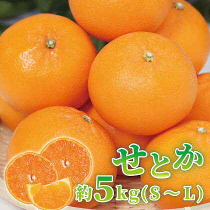 せとか 約5kg (S～Lサイズ) 【紀州グルメ市場】【ミカン 蜜柑 せとか 柑橘】