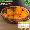 【ふるさと納税】【2025年先行予約】和歌山県有田産 みかん 10kg×2箱 2L~3Sサイズ(おまかせ) 【訳あり・家庭用】【みかん ミカン 蜜柑 柑橘 温州みかん 和歌山 有田みかん】