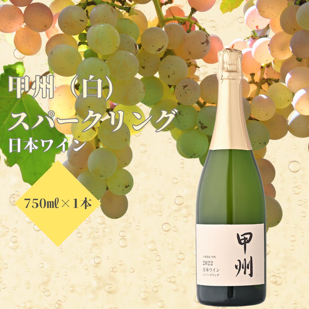 【ふるさと納税】甲州（白) スパークリング 750ml【ワイン スパークリングワイン 白ワイン 日本ワイン 国産 日本産 750ml】