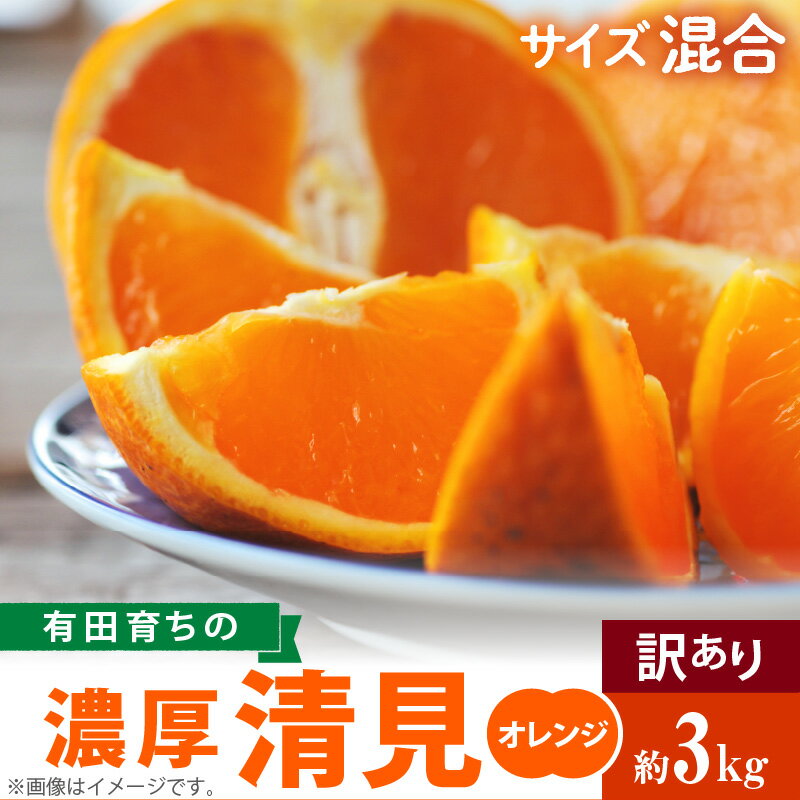 【ふるさと納税】 有田育ちの 濃厚 清見 オレンジ 【訳あり 家庭用】3kg (サイズ混合)【清見 みかん タンゴール 柑橘 フルーツ 和歌山 有田】のサムネイル