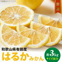 【ふるさと納税】【限定】 【2026年先行予約】【人気柑橘】厳選! はるか みかん 3kg (サイズ混合)【ミカン 蜜柑 春みかん 柑橘 和歌山 有田 日向夏】