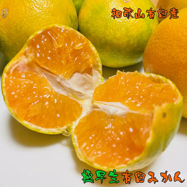 【ふるさと納税】【先行予約】厳選!濃厚 極早生 有田みかん 4kg (サイズ混合)【2023年10月上旬〜下旬発送】【ミカン 蜜柑 オレンジ 柑橘 わせ 温州みかん 和歌山 有田】のサムネイル
