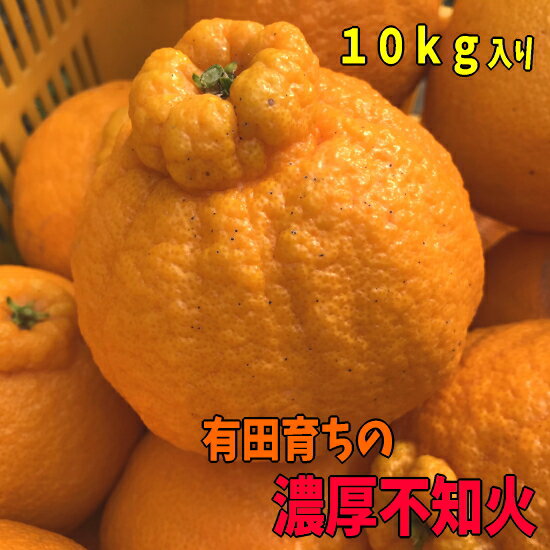 【ふるさと納税】【先行予約】有田育ちの濃厚 不知火 (デコポンと同品種)【訳あり 家庭用】10kg【でこぽん デコポン しらぬい 不知火 柑橘 フルーツ 和歌山 有田】