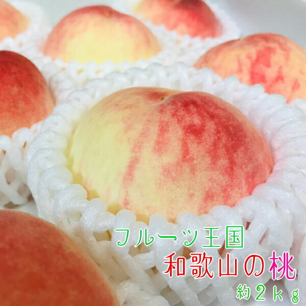 【ふるさと納税】【夏の美味】フルーツ王国 和歌山の 桃 2kg (6〜9玉入り)【もも 白桃 フルーツ 和歌山】のサムネイル