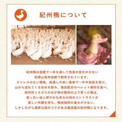 【ふるさと納税】紀州鴨 セット ロースブロック 1kg モモブロック 600g ロース モモ ブロック 独自配合 ペレット飼料 使用 真っ白 脂 鮮やか 赤み 肉 臭み 少ない 濃厚 コク 急速冷凍 低密度飼育 国産 こだわり 産地直送 グルメ 有田地 お取り寄せ 和歌山県 湯浅町 送料無料 - Image 3