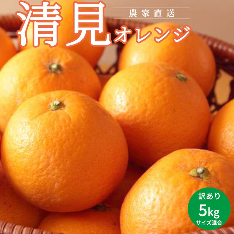 【ふるさと納税】清見 オレンジ 訳あり 5kg サイズ混合 