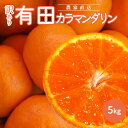 【ふるさと納税】【先行予約】和歌山有田産カラマンダリン【訳あり家庭用】5kg【ミカン 蜜柑 春みかん 柑橘】