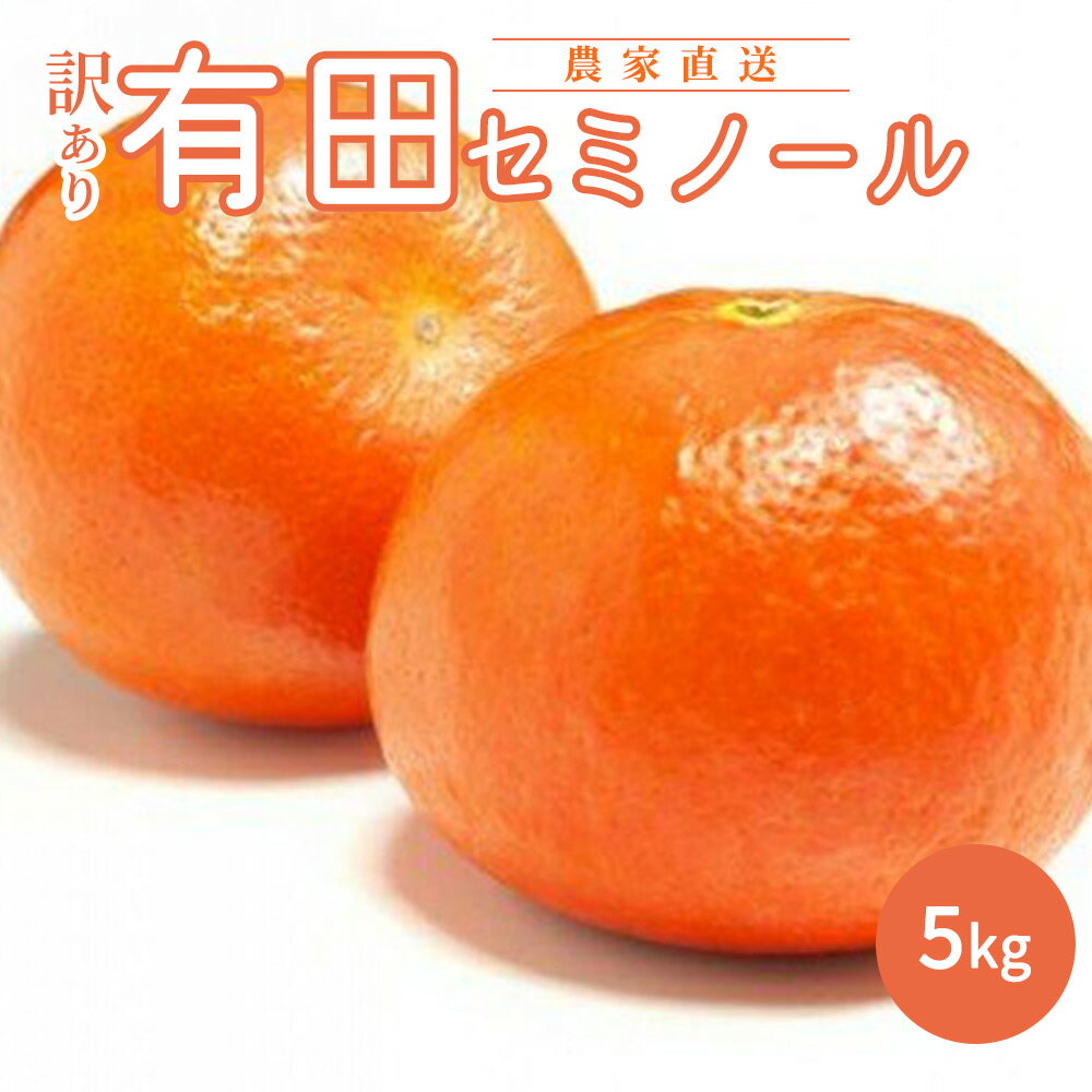 和歌山有田産セミノールオレンジ5kg(M〜3Lサイズ混合) 通販
