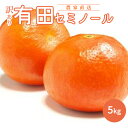 【ふるさと納税】【2026年先行予約】和歌山有田産セミノールオレンジ【訳あり家庭用】5kg(M~3Lサイズ混合)【ミカン 蜜柑 春みかん 柑橘 オレンジ】